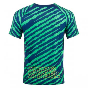 2022 Brazil Pre Match Jersey Zebra Green