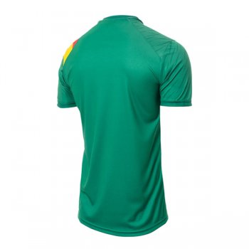 2022 Cameroon Home World Cup Soccer Jersey
