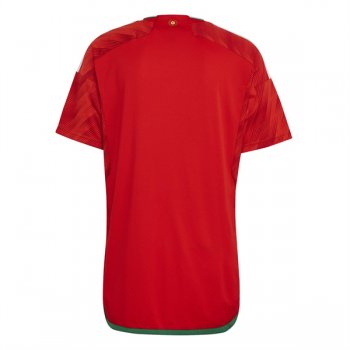 2022 Wales Home World Cup Jersey