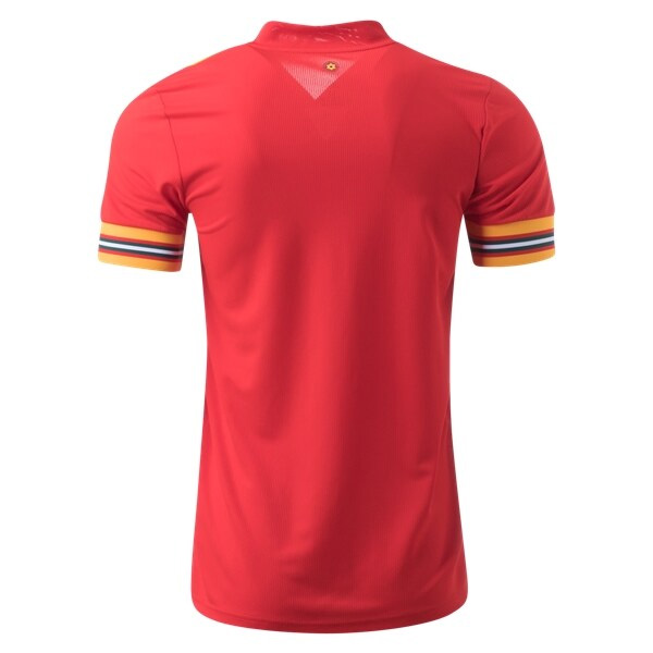 2020 Wales Home Soccer Jersey Shirt MJSWAHM20 - $23.99 ...